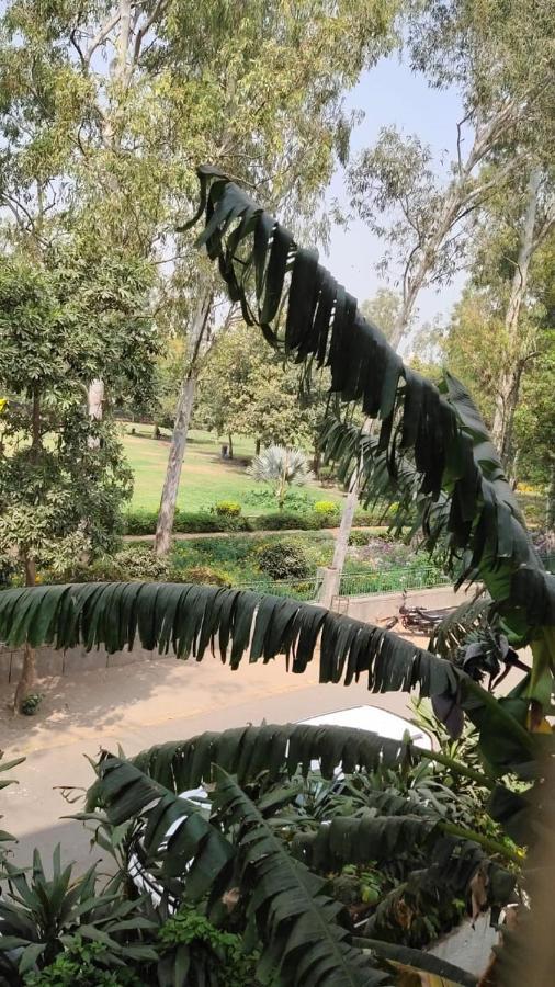 Maplewood Guest House, Neeti Bagh, New Delhiit Is A Boutiqu Guest House - Room 5 Exterior foto